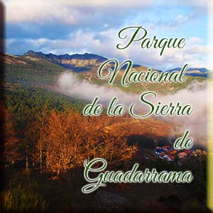 parquenacionaldelasierradeguadarrama.com